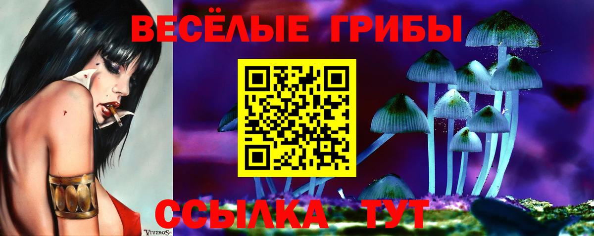 Псилоцибиновые грибы Psilocybe Братск